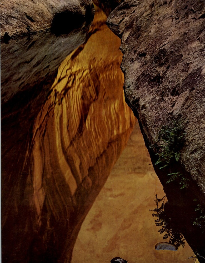 1962 Eliot Porter Glen Canyon Orange Flow Hidden Passage Art Photo Gravure