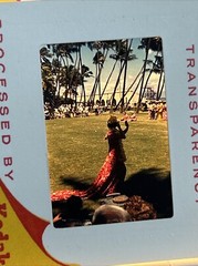 Kodachrome Lot Of 40 1960’s Grand Canyon And Hawaii Trip 35mm Color Slides