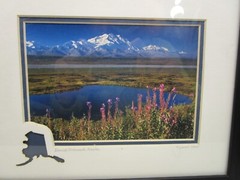 Framed Photo Signed by Kathy Hart Denali Fireweed And Glacier Alaska 12″ x 10″