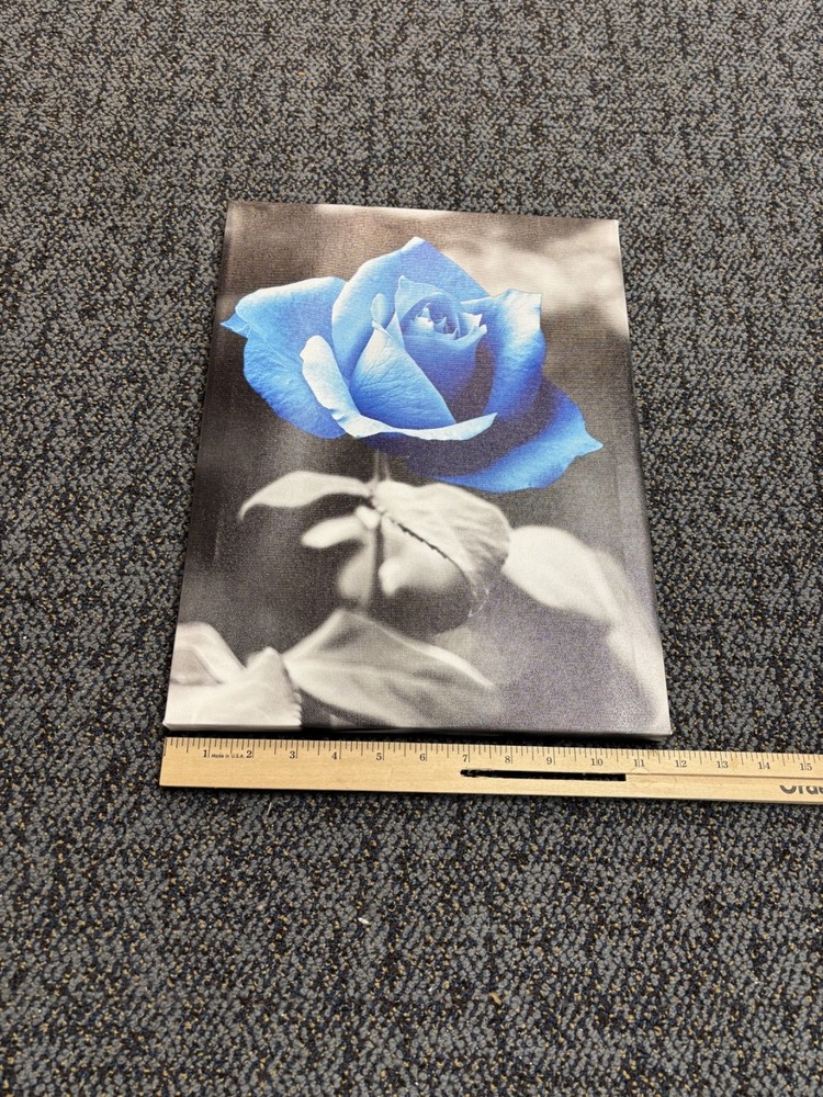 12 in x 16 in Blue Rose Photo Framed 3