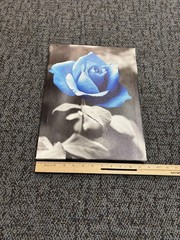 12 in x 16 in Blue Rose Photo Framed 3