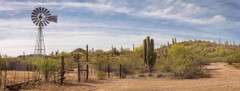 Desert Southwest Saguaro Arizona fine art limited edition photography
