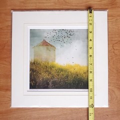 Angie Lambert Photograph Farm Silo Birds Flowers Americana Rustic 12×12″ Matted