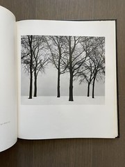 🎈RARE Unique! SIGNED Harry Callahan: Photographs, 1964 1st Ed Limited, Weber