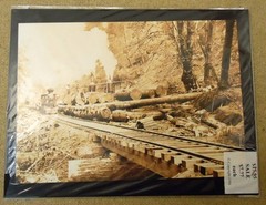 The Old Photo Chest of America 10×7 in Prints Qty 4