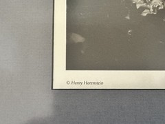 Henry Horenstein ‘Ringside, Harvard Club, 1976’ Framed Print Reproduction 8 X 10