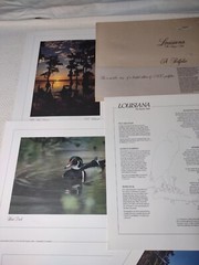 Louisiana: The Bayou State: Limited Edition Portfolio By C.C. Lockwood