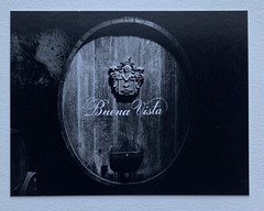 RARE COLLECTION OF 9 PHOTOGRAPHS BY ARTIST ROD DRESSER (Student of Ansel Adams)