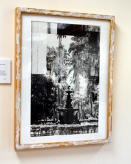 Fountain, Jardim Botanico, Rio de Janeiro, Brazil, 17 x 25in art photo by M.G.
