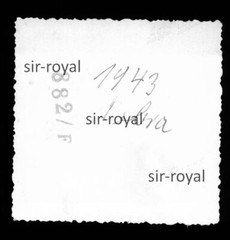 Bibra 1943 – Frau in schöner Vintage Mode Kleid Kleidung – 1940er – Foto 6x6cm