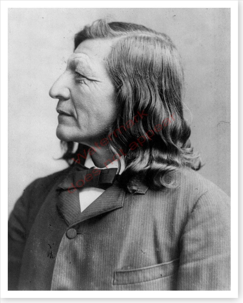 Silver Halide Photo Oglala Lakota Indian Chief Luther Standing Bear