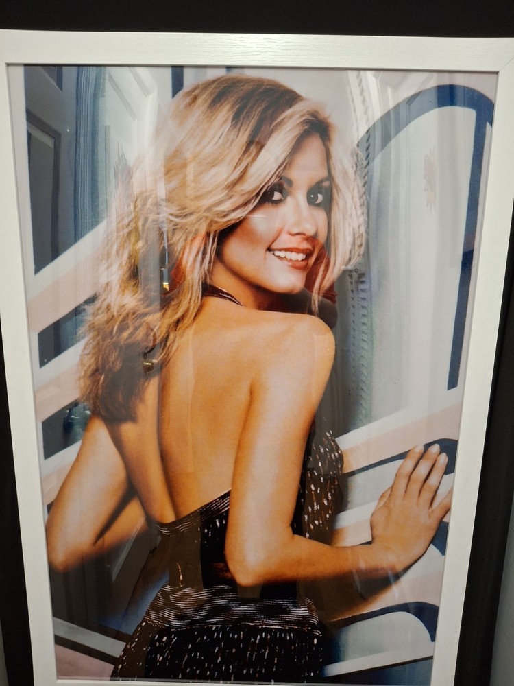 Olivia Newton John posing for Xanadu 26 / 36.5 Framed & ready to hang