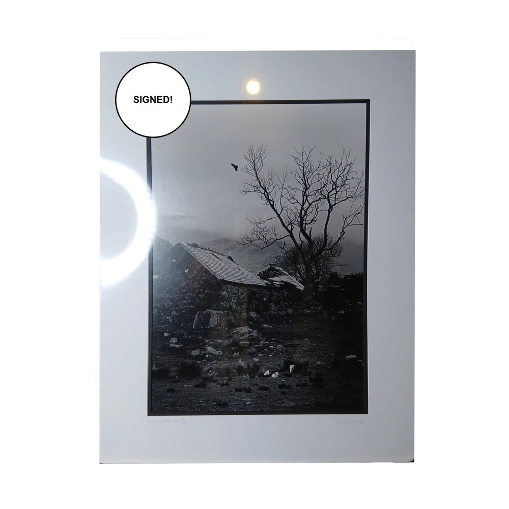 Daniel Powers SIGNED Raven Lambs 2004 Ltd Ed B&W Matted Photo Snowdonia Wales