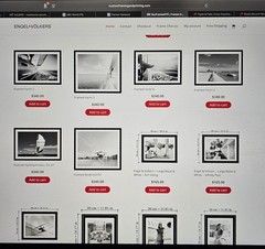 Framed B&W Photo Print Polo Hooves Luxury Real Estate Office 10.2″× 14.1″ READ⬇