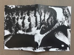 🎈Signed! Daido Moriyama Light & Shadow Magazine Special Limited Ed, SALE! RARE
