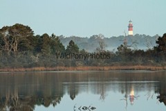 Lighthouse Photo, Pick One Image – Various Sizes