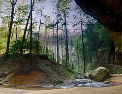 LANDSCAPES 8.5×11 or 13X19 BORDERLESS GLOSSY PRINT (FREE SHIPPING)