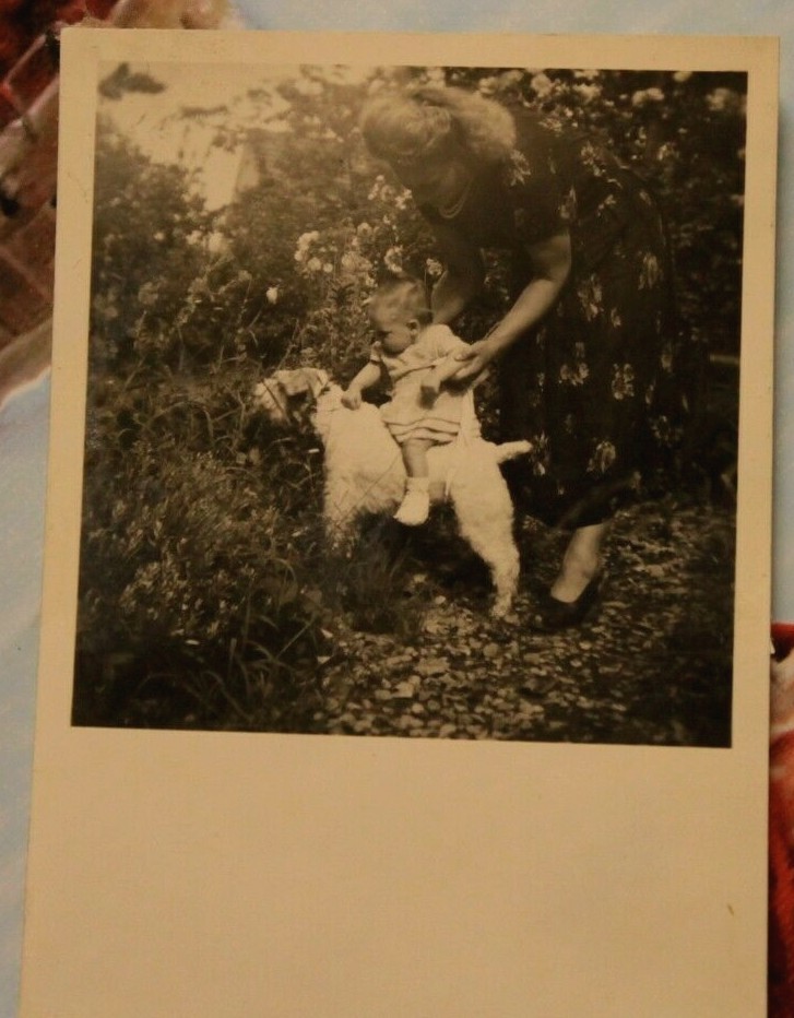 Photo woman 1950 girl dog baby girl dress W21