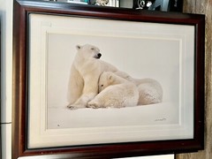 Thomas D. Mangelsen Signed Polar Bear Limited Edition 346/1200 Photograph Art