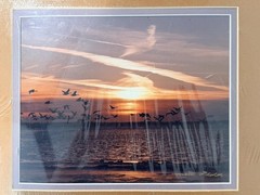 New Emmitt Phalen Sunset Geese Flock Over Water Framed Photograph Print
