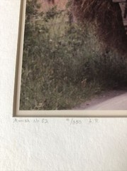 Bill Coleman Amish Children “Wide Load” 4/350 Numbered Framed Photograph