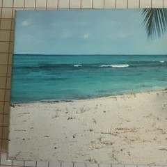 Photo On Stretched Canvas Honeymoon Island, St Thomas US Virgin Islands 5.5”x16”