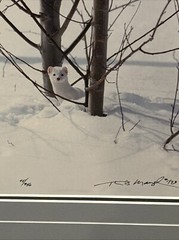 ERMINE IN TREES FRAMED BY THOMAS MANGELSEN 45 OF 950 SIGNED 1993 RARE 15 X 12