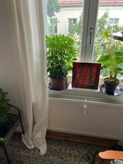 Small Photo Screen Print of Cobblestones & Tram Tracks Linen on Wood Frame