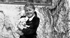LOT 2x PHOTO NEGATIVE, sweet girl w sweet dog, sheeps, animals, funny, unusual,