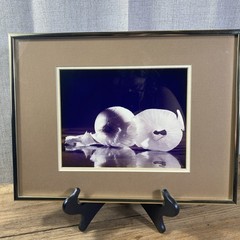 Framed Art Gore Photo Print Onion Gold Frame 16 x 12, image 9 x 7 – Food