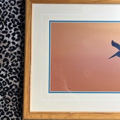 Thomas Mangelsen Signed Art Photo Ltd Pelicans Birds Wings At Dusk Numbered MCM
