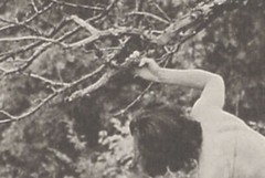 ALFRED CHENEY JOHNSTON, «ENCHANTING BEAUTY» Copy, Magnificent Figures in Nature