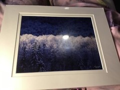 Mantle of White Ron Mellott matted photography Hoar Frost Nooksack River, Wa