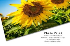 Country Photography Print – Picture of Two Sunflowers in a Field in Kansas