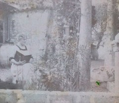 AUTOCHROME Original Colour Stereo Photo Circa 1920 Vintage Glass V35L26n6