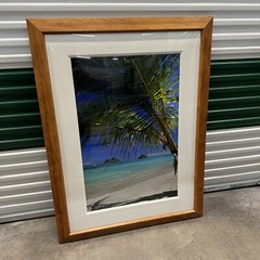 Peter Lik “Sweet Escape” Hawaii Palm Tree 1M Framed Picture