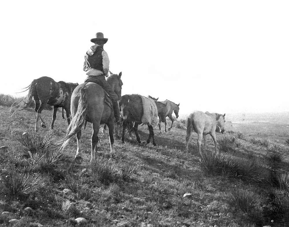 The stray man, Bonham, Texas 1908 Photograph Print 11″x14″