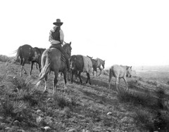The stray man, Bonham, Texas 1908 Photograph Print 11″x14″