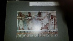 11 Total Photograph Collection from Art Department at Indiana University IU