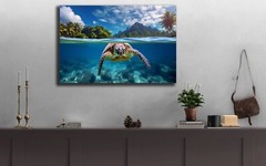 Sea Turtle Photo, Hawaiian Islands Art, Turtle Swimming in Ocean HD Photography