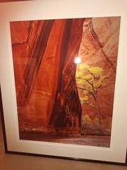 Authenic Michael Fatali Cibochrome Photography USA SW BEAUTIFUL