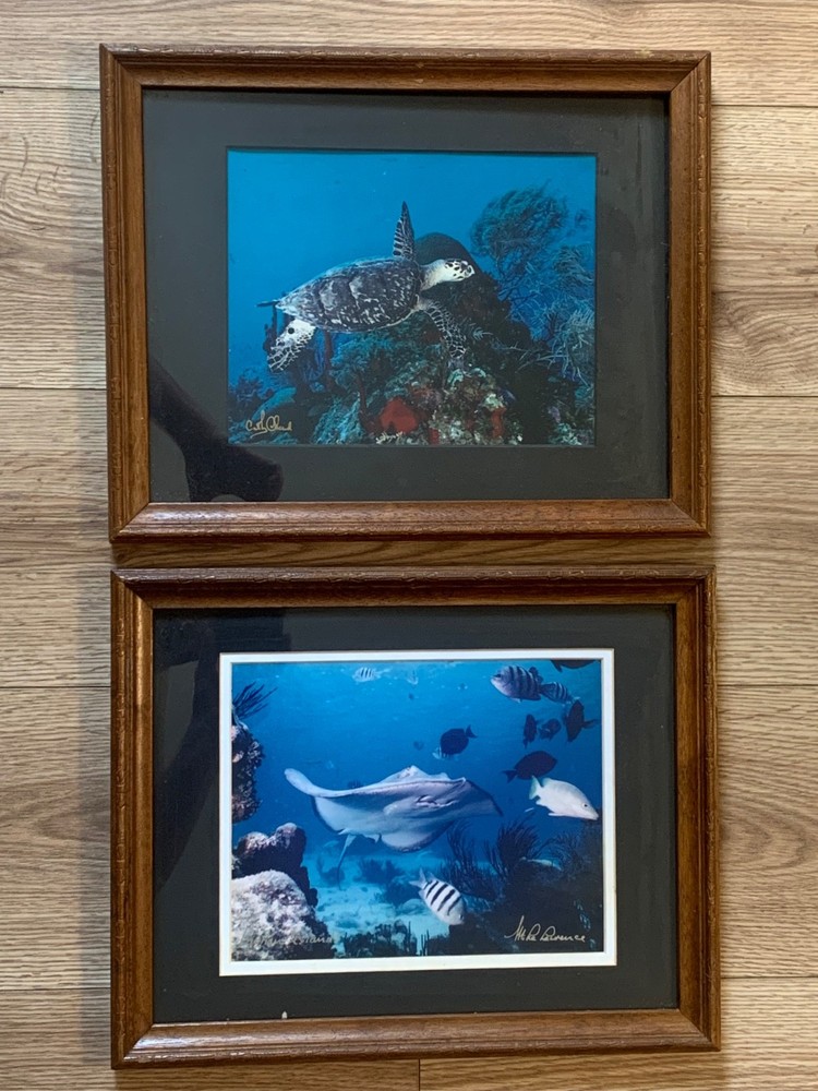 Pair Signed Cayman Islands Underwater Photographs Cathy Church Mike Lawrence