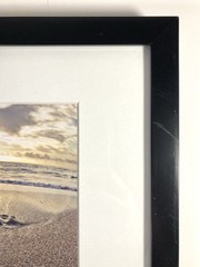 SIGNED Photograph Sea Turtles on Beach Chris Doherty Matted & Framed