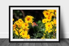 Wildflower Photography Print – Picture of Monarch Butterfly in Oklahoma