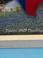 Texas Hill Country Bluebonnet Wall Art Hand Painted Glass Frame 10×10 Decor