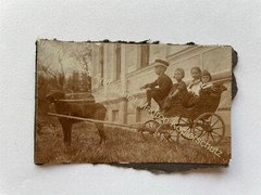 orig. Photo Circa 1905 Children Dogs Carriage Animal Dog Toy