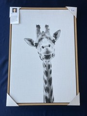 Simon Te Black And White Framed Animal Collection. Wood Frame, 3 Pack