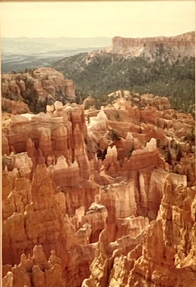 Bryce Canyon “Forest of Rocks Arial Photography 1984 Alan Proffitt 11×14 Framed