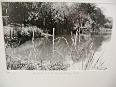 MATTED PHOTOGRAPHY Wildlife Sanctuary 16 x 20 A/P Lake Florida Larry Santucci