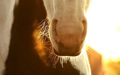 100 Amazing Mixed Desktop Computer Backgrounds Wallpaper Bundle Pack 341